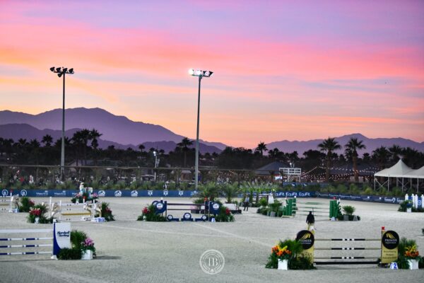 Grand Prix arena with Premier Equestrian horse jumps