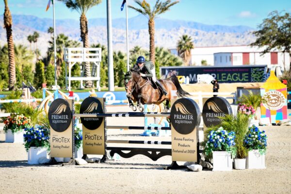 Premier Equestrian horse jumps