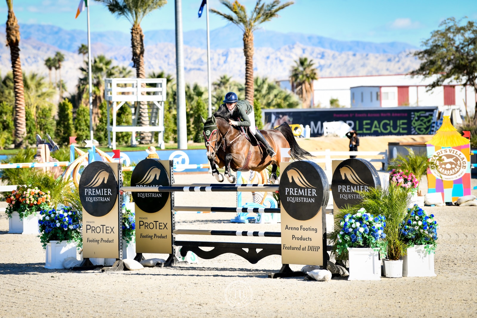 Premier Equestrian horse jumps