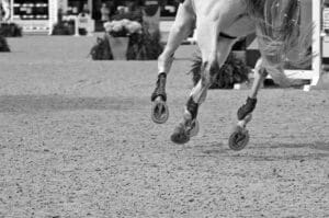 white horse galloping away