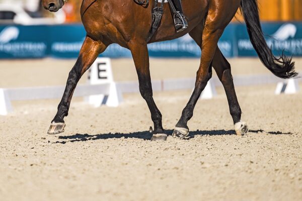 protex-footing-dressage-dihp