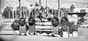 Premier Equestrian horse jump