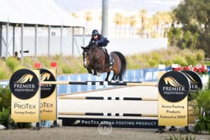 Premier Equestrian horse jump