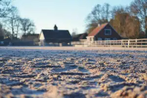 Frosty Sand Arena With Distant Buildings And Trees