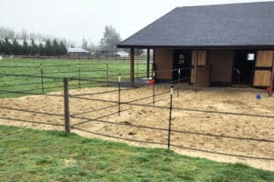 new horse paddock