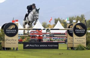 gray horse and rider jumping a Premier Equestrian jump