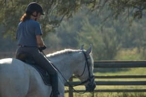 woman on a gray horse walking in the evening sunlight