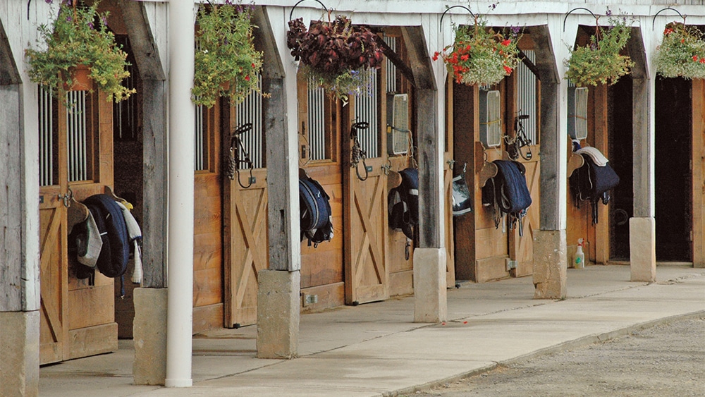 outdoor row of horse stalls