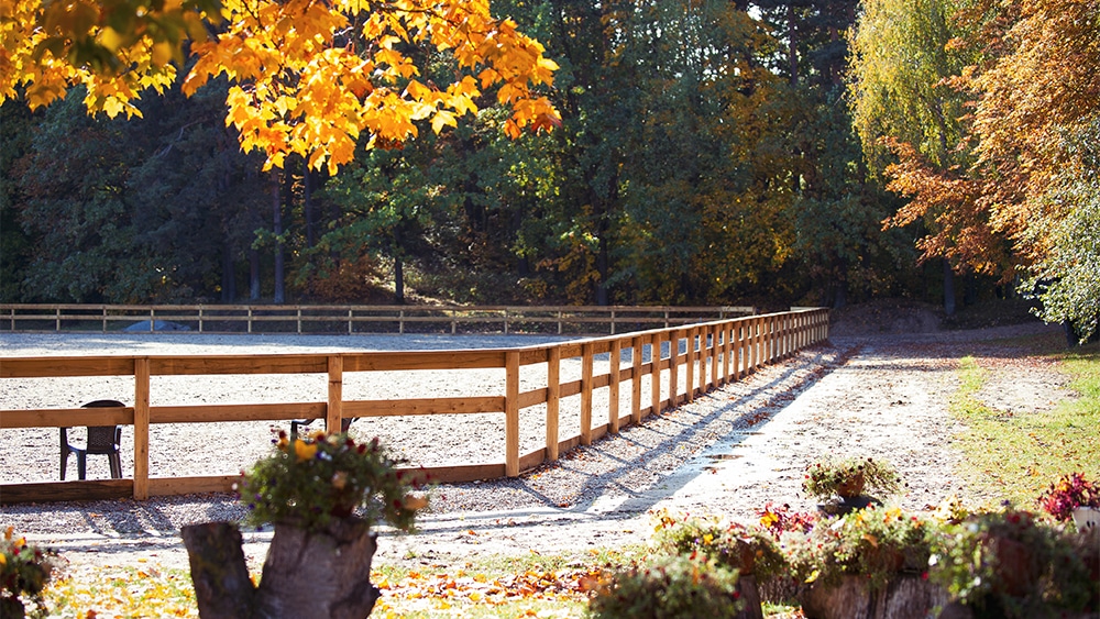 outdoor horse riding arena