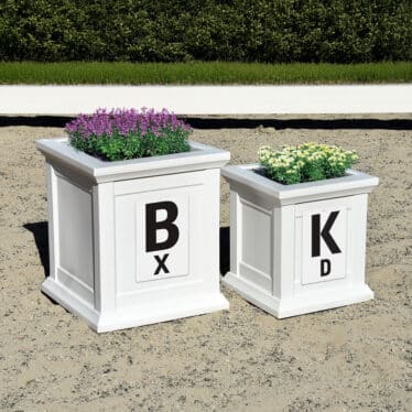 Modern Colonial Dressage Flower Boxes