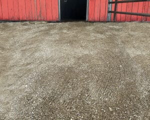 horse paddock ground