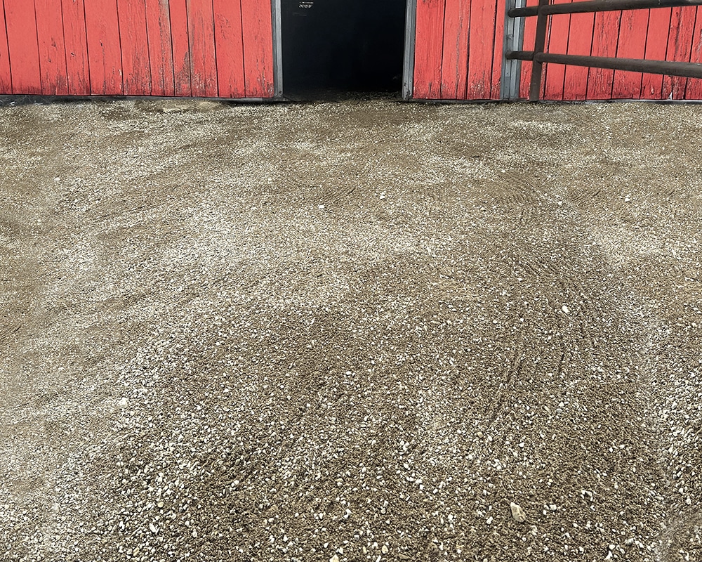 horse paddock ground