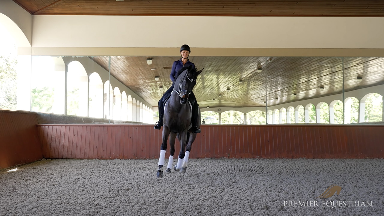 woman riding a dark horse