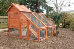 chicken coop