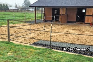 horse paddock