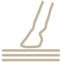 icon lines and horse leg
