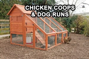 chicken coop