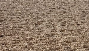 horse arena sand with hoof prints