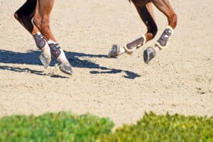 chestnut horse cantering on arena surface