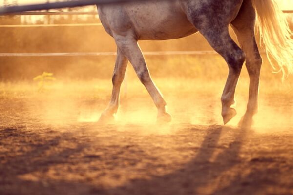 footing-thumbnail-dust-800x450