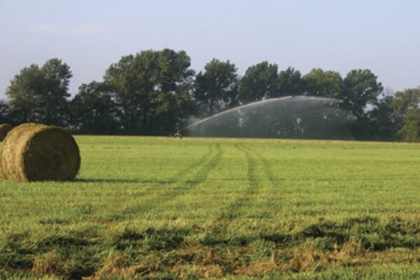 field-irrigation