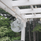 Wall or Ceiling Fan